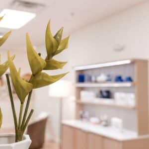 Lakewood Ranch Med Spa Interior Plant Life & Products